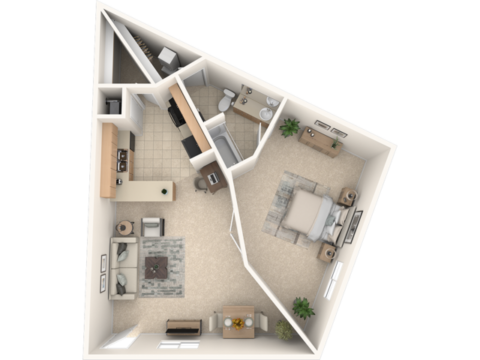 1 bedroom floorplan