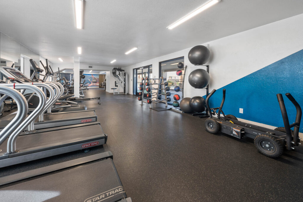 A modern gym with treadmills, elliptical machines, free weights, medicine balls, and fitness equipment. The room has bright lighting, mirrors, and a blue and white accent wall.