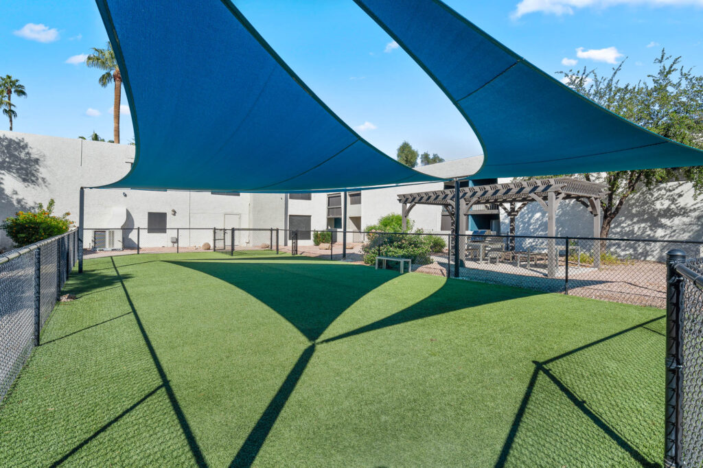 A fenced outdoor area with artificial grass, shaded by large blue fabric canopies, next to a building and a wooden pergola; trees and bushes line the edges under a bright blue sky.